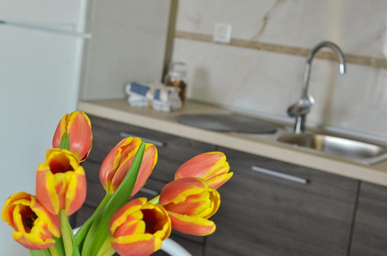 Apartmani Peric 1 Meka Draga โอเบรอควาซ ภายนอก รูปภาพ